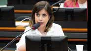 Pablo Valadares / Câmara dos Deputados