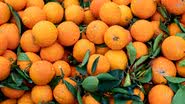 Reprodução / Freepik