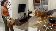 Reprodução / Redes Sociais