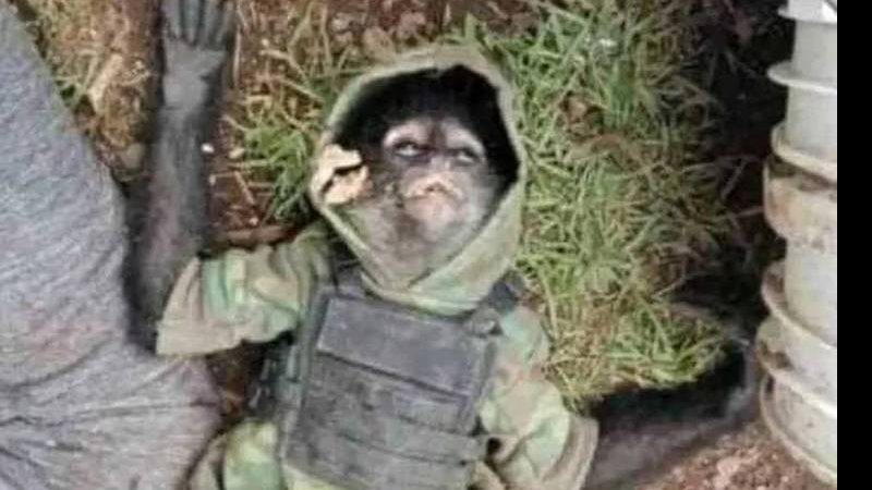 Reprodução / Redes Sociais
