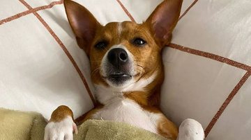 Reprodução / Instagram
