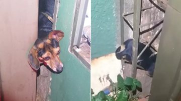 Reprodução / Redes Sociais