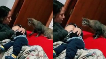Reprodução/TikTok @luciananasciment331