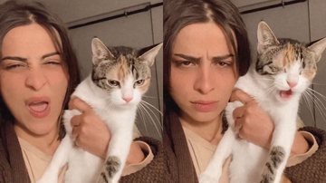 Reprodução/Instagram @animal_peepz
