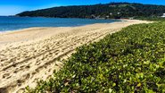 Divulgação / Prefeitura de Balneário de Camboriú