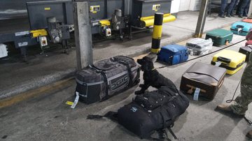 Divulgação/PF/PC