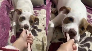 Reprodução/TikTok @manuumariiia