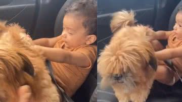 Reprodução/ Tik Tok