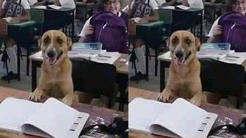 Reprodução / Twitter