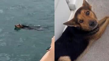 Reprodução/TikTok @julienemedeiros1