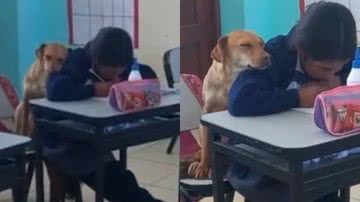 Reprodução/TikTok