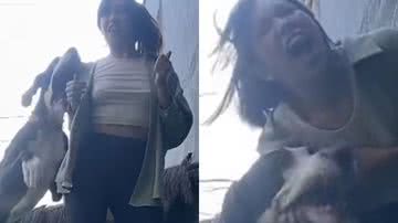 Reprodução/TikTok @_crazycarol