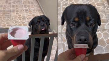 Reprodução / Tik Tok