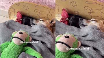 Reprodução/ Instagram