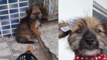 Reprodução/ TikTok