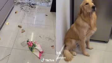 Reprodução// TikTok @antonio_golden