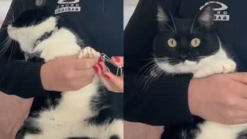 Reprodução/TikTok @heloisaguzatti