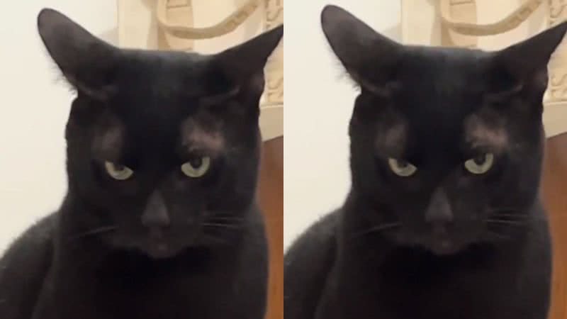 Reprodução/ Tik Tok