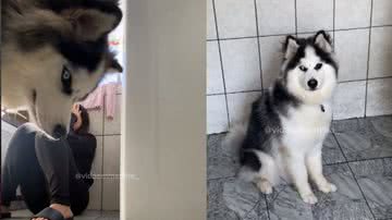 Reprodução / Tik Tok