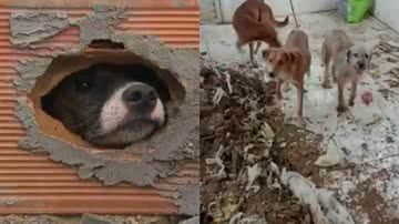 Reprodução/Tv Bahia