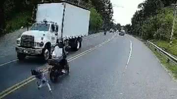 Reprodução / Vídeo