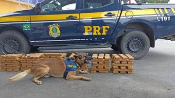 Divulgação/PRF