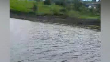 Reprodução/Vídeo