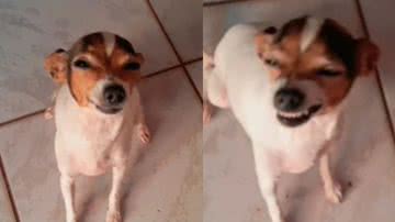 Reprodução / Redes sociais