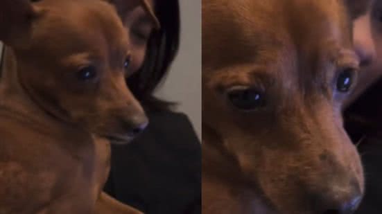 Reprodução / Redes sociais