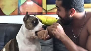 Reprodução / Redes sociais