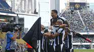 Vitor Silva/Botafogo