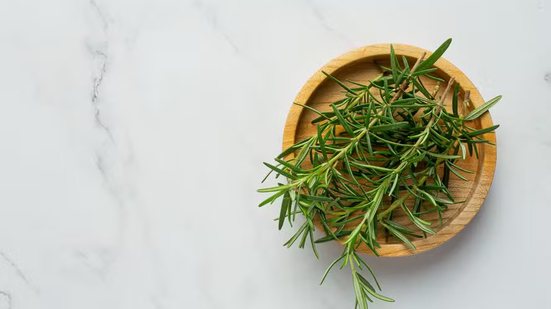 Reprodução / Freepik