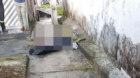 Reprodução