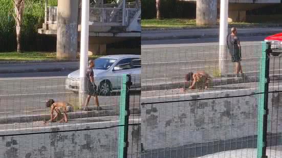 Reprodução/BNews