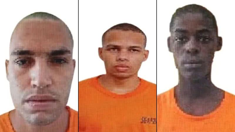 Reprodução