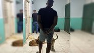 PCDF/Divulgação