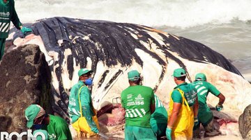 Roberto Viana/BNews