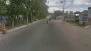 Reprodução
