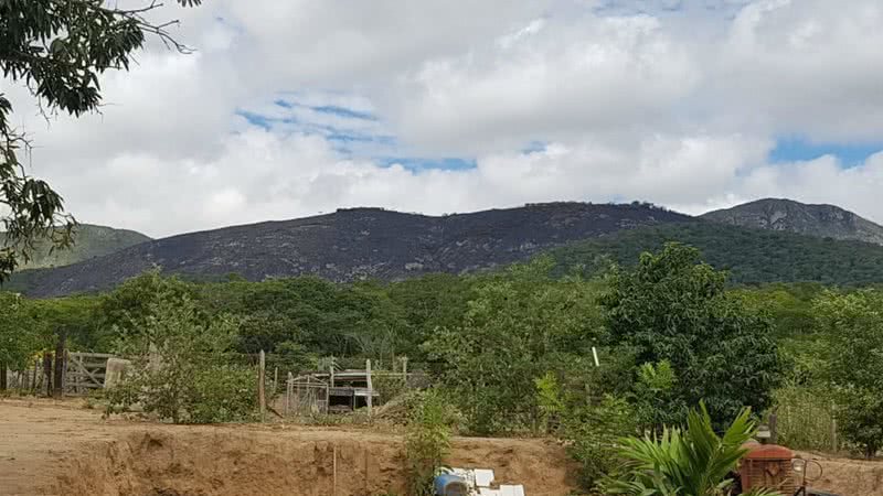 Divulgação / Secretaria do Meio Ambiente
