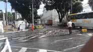 BNews
