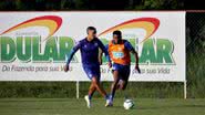 Felipe Oliveira/EC Bahia