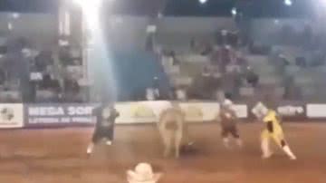 Reprodução