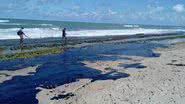 Simone Santos/ Projeto Praia Limpa