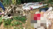 Imagem Quatro motoristas de aplicativos são mortos em chacina na Mata Escura