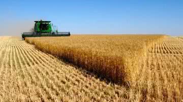 Reprodução/Brasil Agro