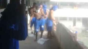 Leitor BNews