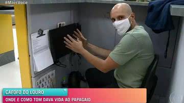 Reprodução/TV Globo
