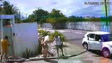 Reprodução