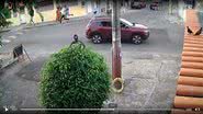 Reprodução / Redes Sociais