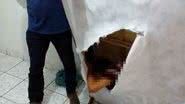 Ilustrativa/Ascom Policia Civil de São Paulo